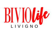 Logo Larice